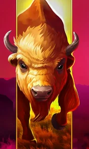 Big Wild Buffalo